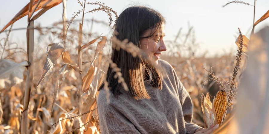 Cheerful young woman in a cornfield in autumn.